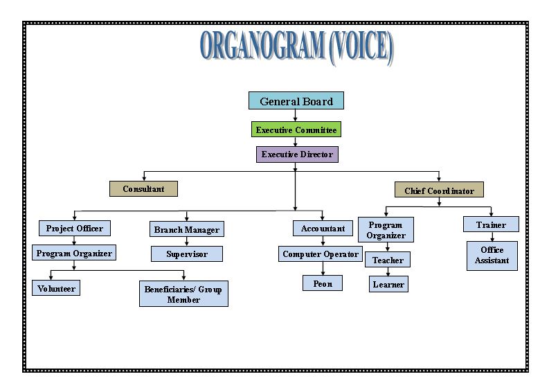 VOICE organizational structure